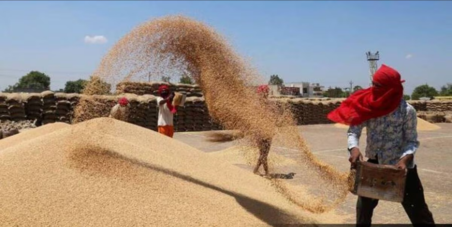 For one year from Jan, Govt makes foodgrains free for 81 crore people