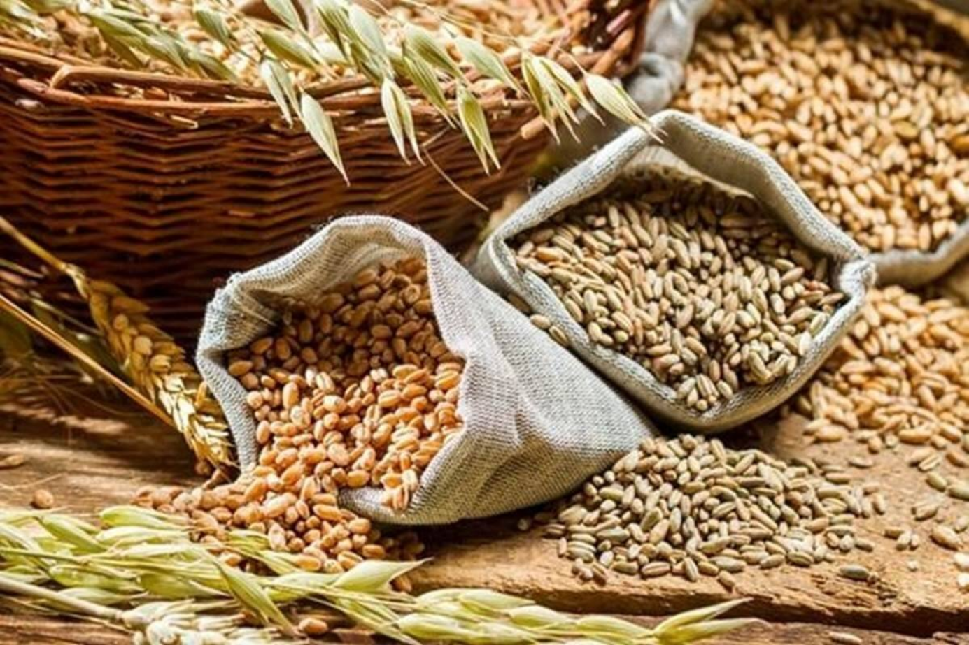 Kharif foodgrains production likely to be record 144.52 mn tonnes in 2020-21: Agri Minister